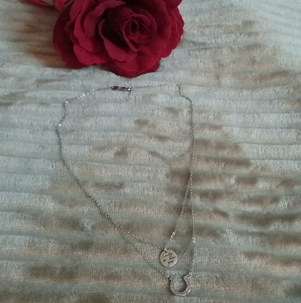 "Lucky To Have You, Horse Shoe Necklace" SS - Picture 3 of 4